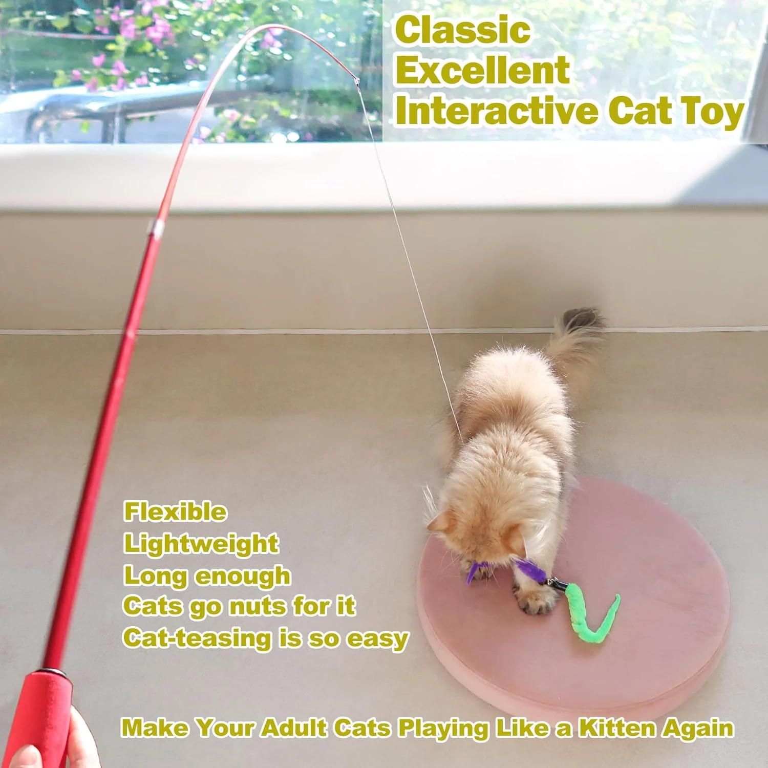 Happy cat playing with MeoHui toy